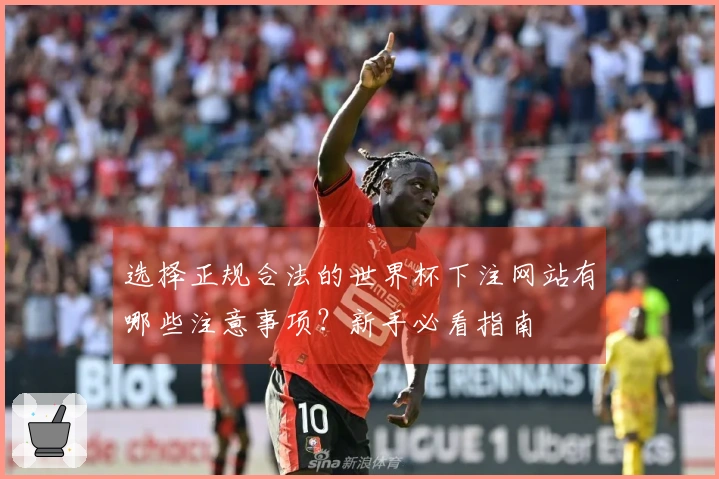 选择正规合法的世界杯下注网站有哪些注意事项？新手必看指南