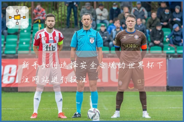 新手如何选择安全合规的世界杯下注网站进行投注