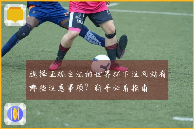 选择正规合法的世界杯下注网站有哪些注意事项？新手必看指南