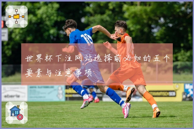 世界杯下注网站选择前必知的五个要素与注意事项