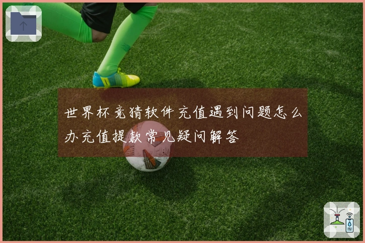 世界杯竞猜软件充值遇到问题怎么办充值提款常见疑问解答
