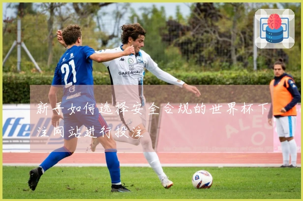 新手如何选择安全合规的世界杯下注网站进行投注