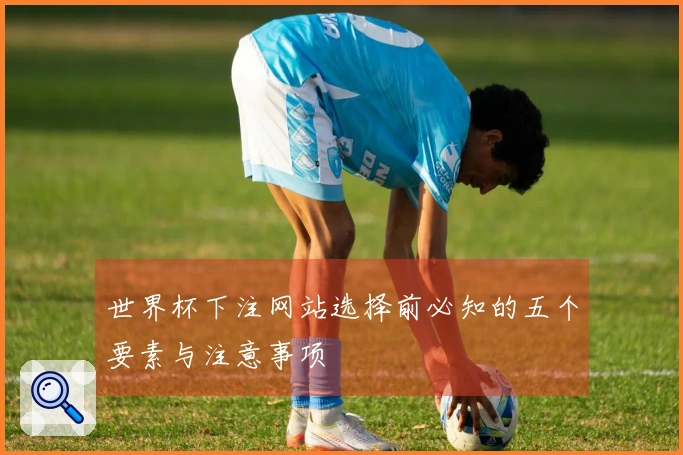 世界杯下注网站选择前必知的五个要素与注意事项