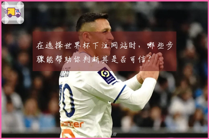 在选择世界杯下注网站时，哪些步骤能帮助你判断其是否可信？